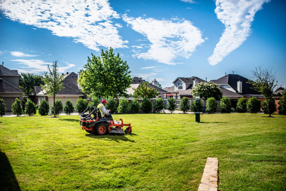 Why Choose Arasha Landscaping