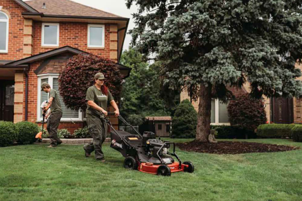 Canada's Seasonal Landscaping Tips - Preparing Your Yard for Summer | Arasha