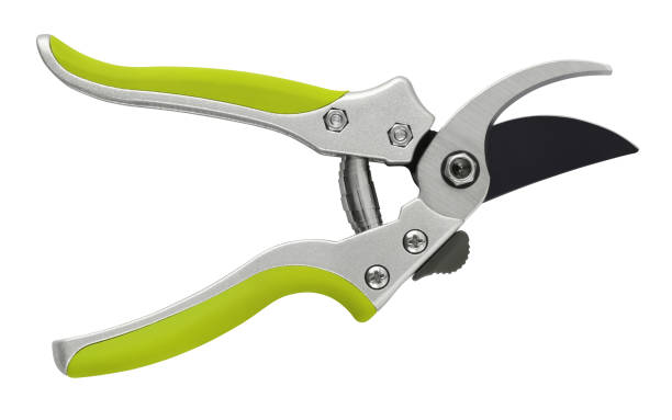 Garden Scissors